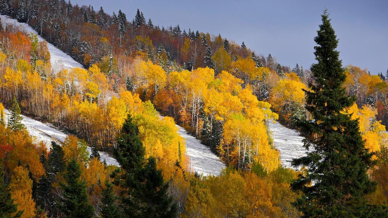 Les Bouleaux - Les Chalets Spa Canada La Malbaie Luaran gambar